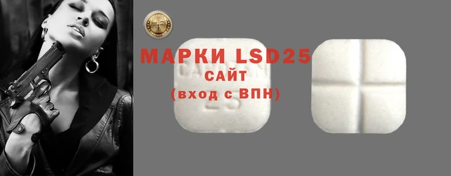 шишки Новодвинск