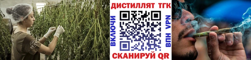 это наркотические препараты  Полярный  ТГК THC oil  купить закладку 